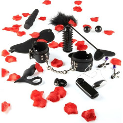 TOYJOY - ZESTAW ZABAWEK SEKSUALNYCH NIESAMOWITEJ PRZYJEMNOSCI