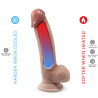 SILEXD - PREMIUM TERMOAKTYWNY SILIKONOWY REALISTYCZNY PENIS 17,8 CM