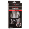 CALEXOTICS - TUTAJ ROYAL UPRZAZ KROLOWEJ W JEDNYM ROZMIARZE
