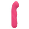 CALEXOTICS - PIXIES KRAGLY ROZ