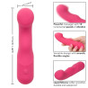 CALEXOTICS - PIXIES KRAGLY ROZ