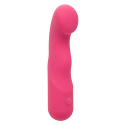 CALEXOTICS - PIXIES KRAGLY ROZ