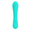 PRETTY LOVE - PRESCOTT WIEDERAUFLADBARER VIBRATOR AQUA GREEN