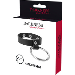 DARKNESS - METALOWY PIERSCIEN DO PENISA I JADRA