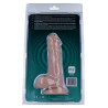 MR INTENSE - 5 PÉNIS RÉALISTE 16.5 CM -O- 3.5 CM