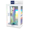 X RAY - PRZEZROCZYSTY KUTEK Z KULKAMI 15.5 CM -O- 3.5 CM