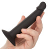 CALEXOTICS - WASKI OGIER ANALNY
