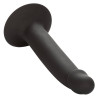 CALEXOTICS - WASKI OGIER ANALNY