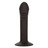 CALEXOTICS - ESTUDO ANAL CURVO