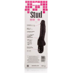 CALEXOTICS - POWER STUD CLITERRIFIC CZARNY WIBRATOR