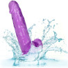 CALEXOTICS - ROZMIAR DILDO KROLOWEJ FIOLETOWEJ 15,3 CM