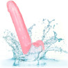 CALEXOTICS - DILDO REGINA TAGLIA ROSA 20.3 CM CALEXOTICS - DILDO REGINA TAGLIA ROSA 20.3 CM