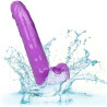 CALEXOTICS - SIZE QUEEN DILDO LILA 20.3 CM CALEXOTICS - SIZE QUEEN DILDO LILA 20.3 CM