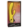 CALEXOTICS - UWODZENIE W SAN DIEGO