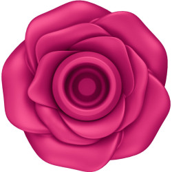 SATISFYER - AIR PULSE PRO 2 KLASYCZNY WIBRATOR KWIATOW