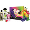 SHUNGA - KOLEKCJA ZESTAWOW FRUITY KISSES