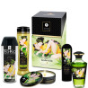 SHUNGA - KOLEKCJA ORGANICZNA ZESTAWOW OGRODOWYCH EDO