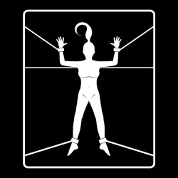 FETISH SUBMISSIVE - ZESTAW KAJDANKOW I KRAWATOW Z NOPRENOWA PODSZEWKA