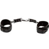 CALEXOTICS - EUPHORIA POLSINI