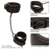 CALEXOTICS - NOCTURNAL ANKLE CUCFFS SKÓRZANE REGULOWANE CZARNE