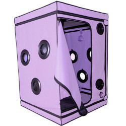 SECRET DOME - KINK CLUB CABIN SCANDALE FIOLETOWY