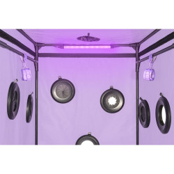 SECRET DOME - KINK CLUB CABIN SCANDALE FIOLETOWY