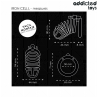 ADDICTED TOYS LOCKED - IRON CELL JAULA PARA PENE DE METAL 5 CM TALLA L