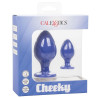 CALEXOTICS - BEZCZELNY ZATYCZKA FIOLETOWA