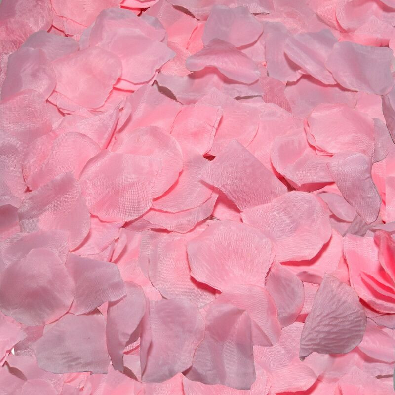 DIABLO PICANTE - 100 ROSA BLÜTENBLTTER DIABLO PICANTE - 100 ROSA BLÜTENBLTTER