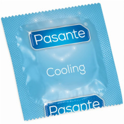 PASANTE - TORBA Z EFEKTEM CHLODZACYM NA KONDOMY 144 SZT