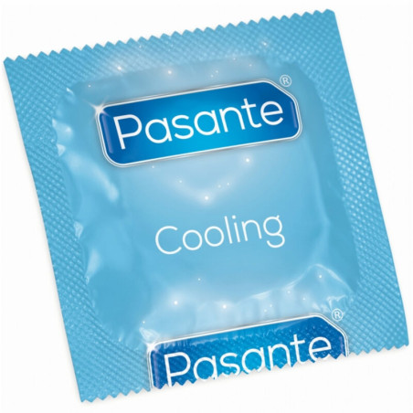 PASANTE - TORBA Z EFEKTEM CHLODZACYM NA KONDOMY 144 SZT