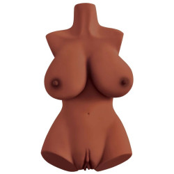 PDX PLUS - IDEALNY 10 TORSO BRAZOWY