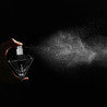 EYE OF LOVE - MATCHMAKER BLACK DIAMOND PERFUMY FEROMONOWE PRZYCIAGAJA JEJ 30 ML